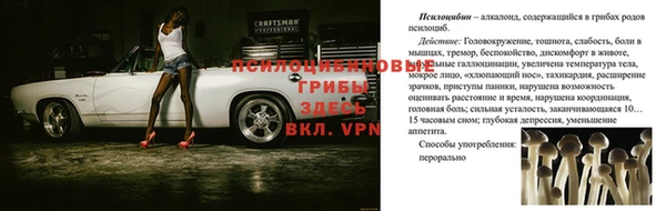 apvp Алексеевка