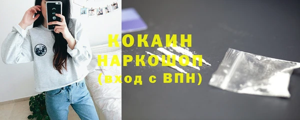 бошки Гусев