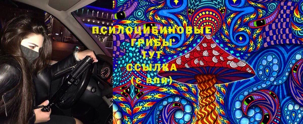 apvp Алексеевка