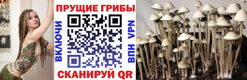 Галлюциногенные грибы прущие грибы  Набережные Челны 